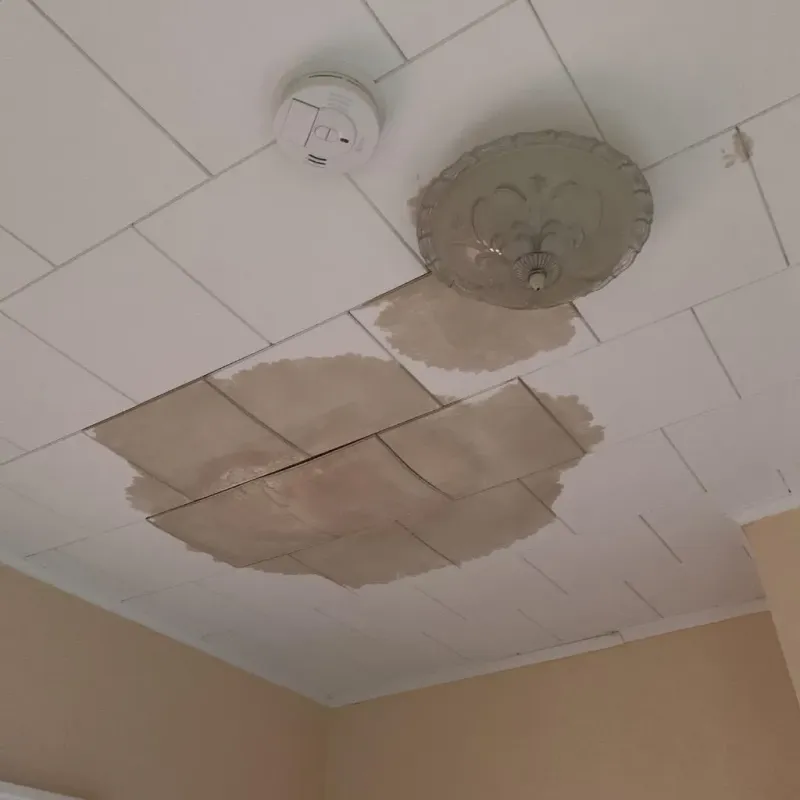 Ceiling Water Damage Repair in New Lisbon, WI