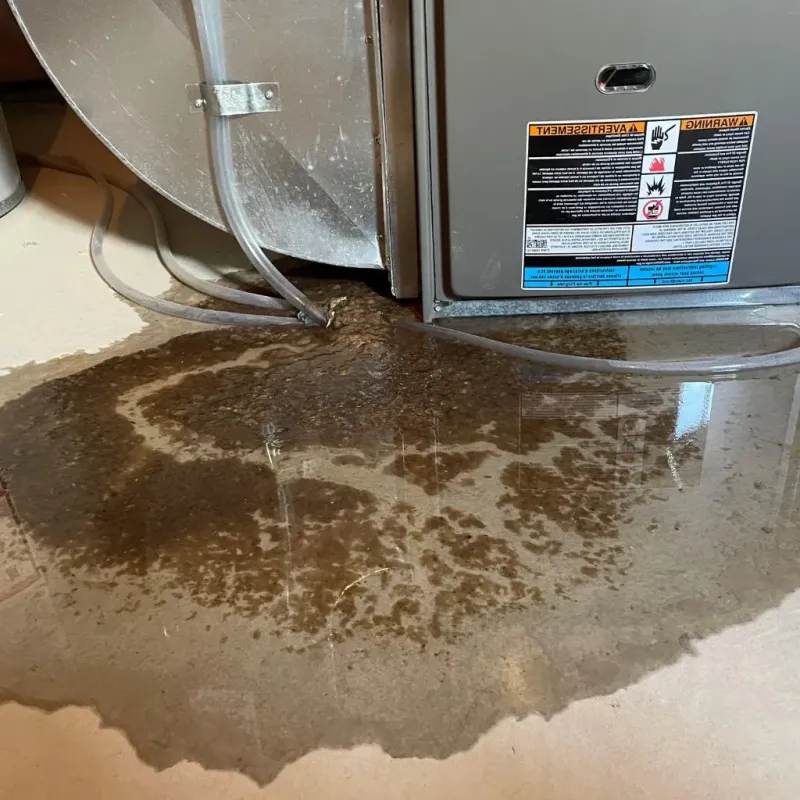 Pipe Burst and Leak Restoration in New Lisbon, WI
