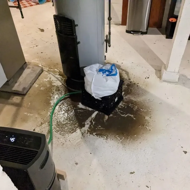 Sewage Backup Cleanup Service in New Lisbon, WI